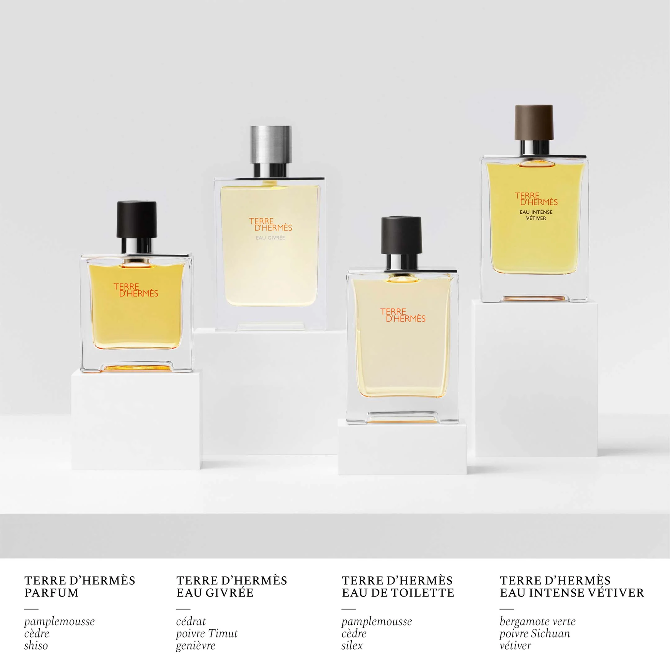Terre D'Hermes Eau Givree Eau De Parfum 200Ml Refill - Image 6
