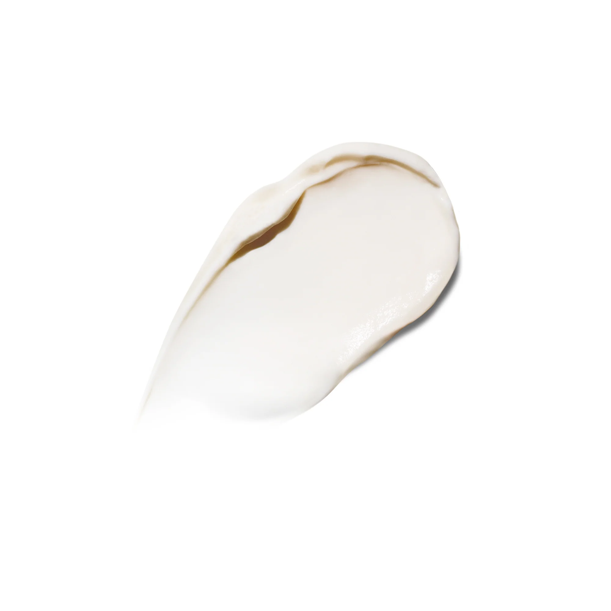 The Rejuvenating Night Cream - Image 3