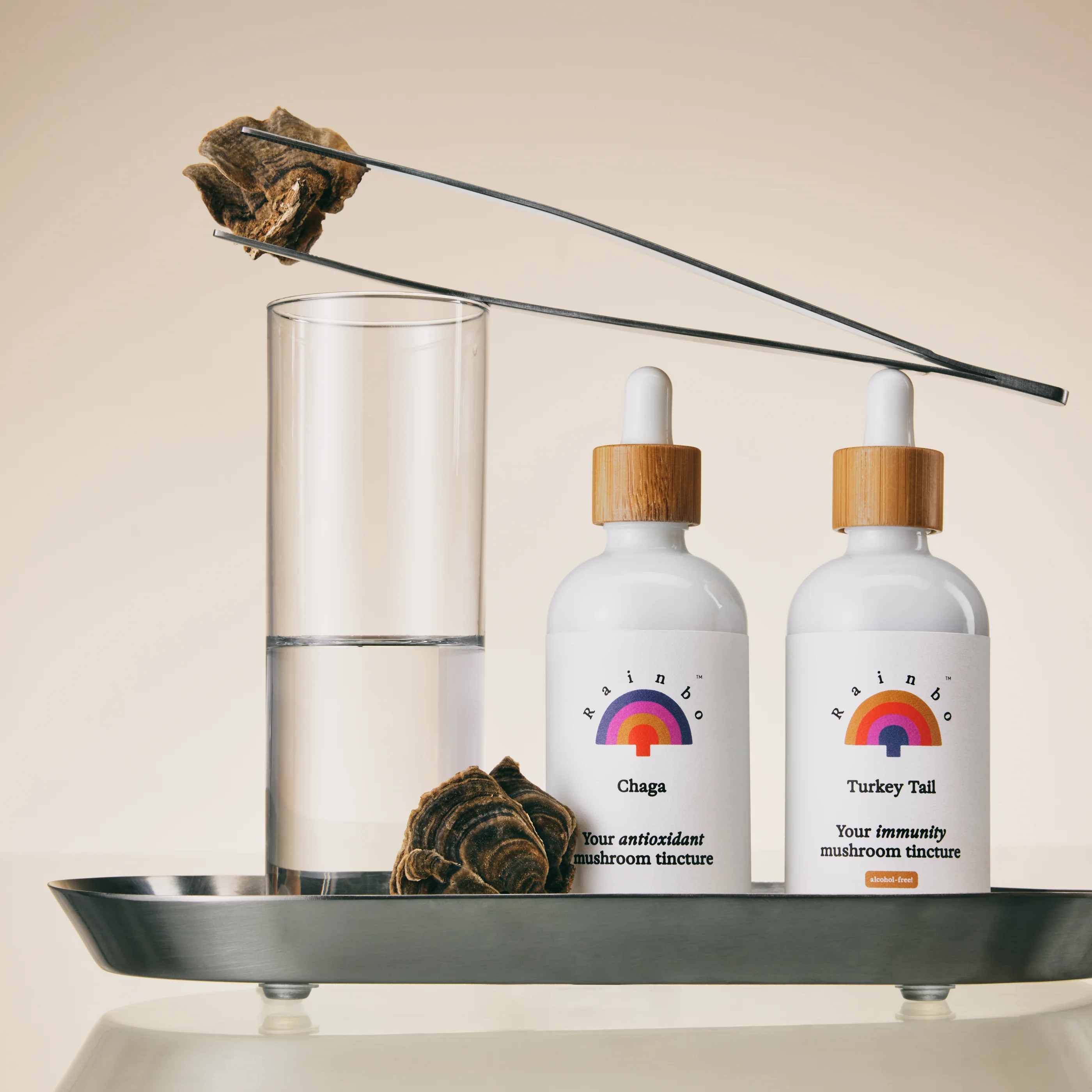 Turkey Tail Extract Tincture *alcohol-free* - Image 3