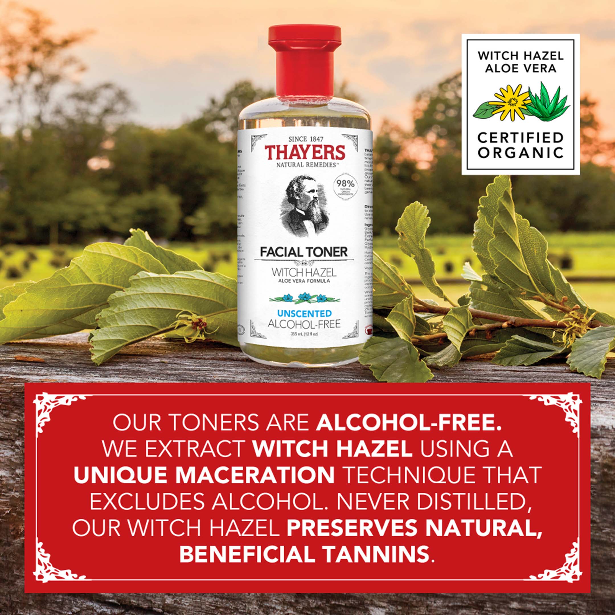 Unscented Witch Hazel Toner - Image 17