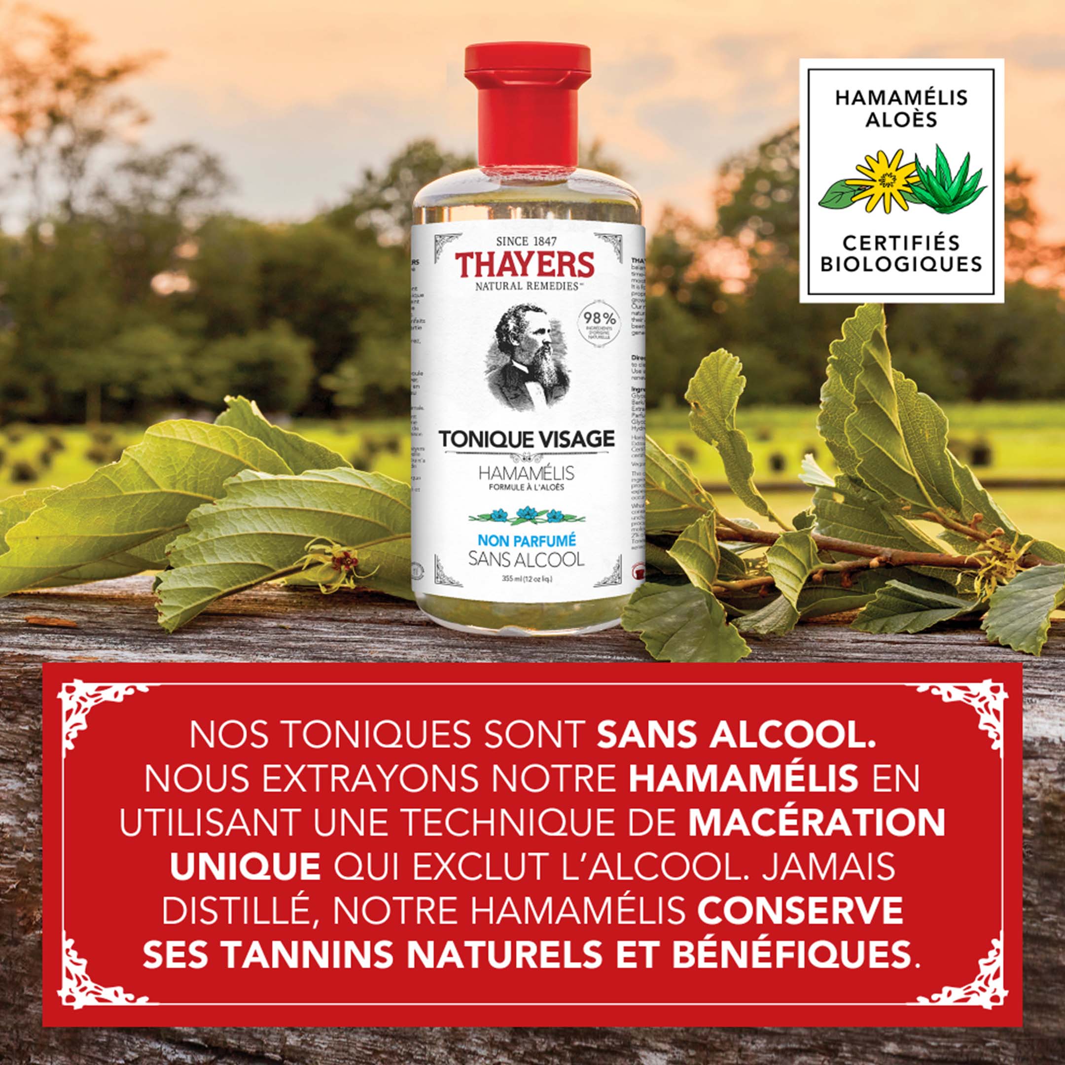 Unscented Witch Hazel Toner - Image 22