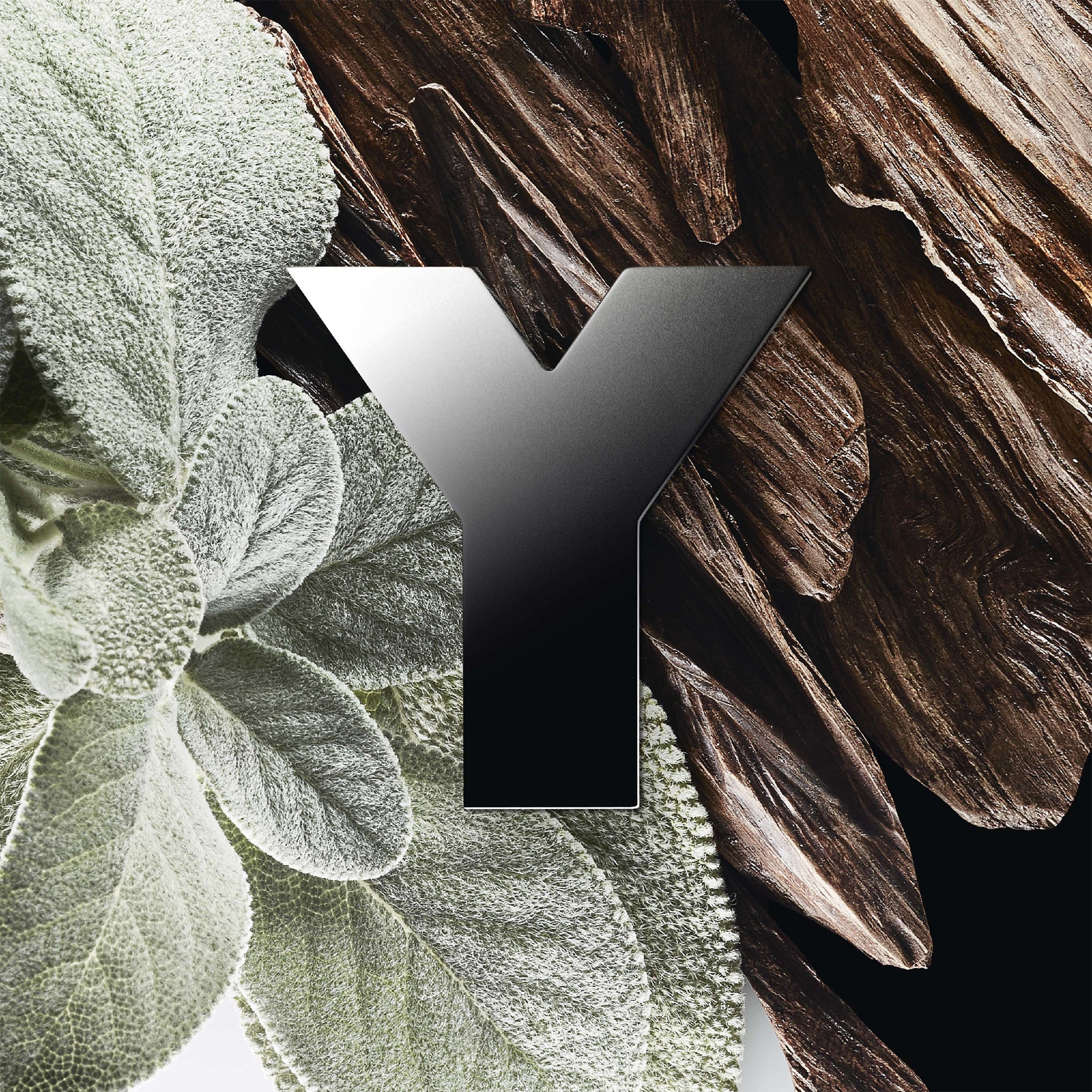 Y Eau De Parfum - Image 2