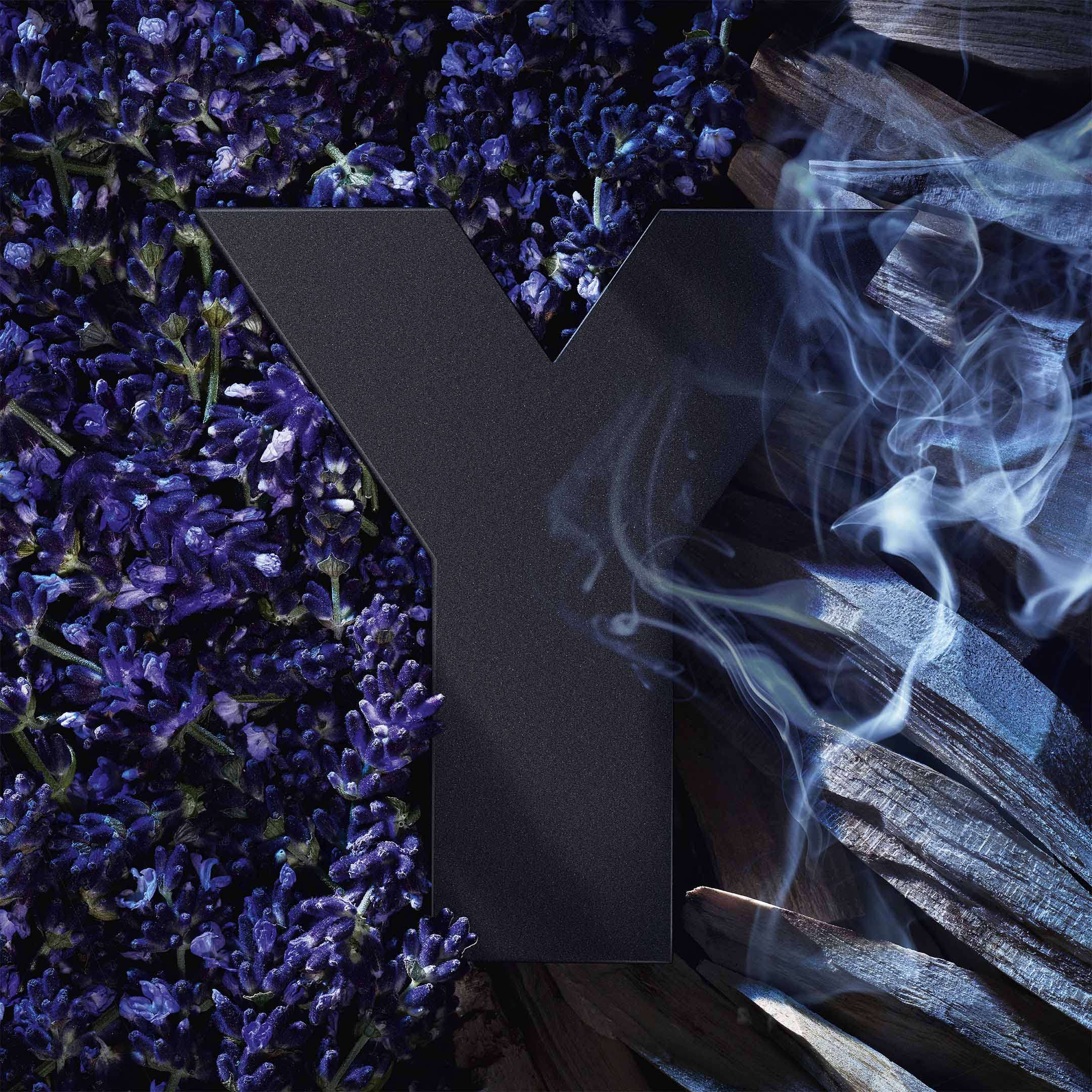 Y L'Elixir - Image 2