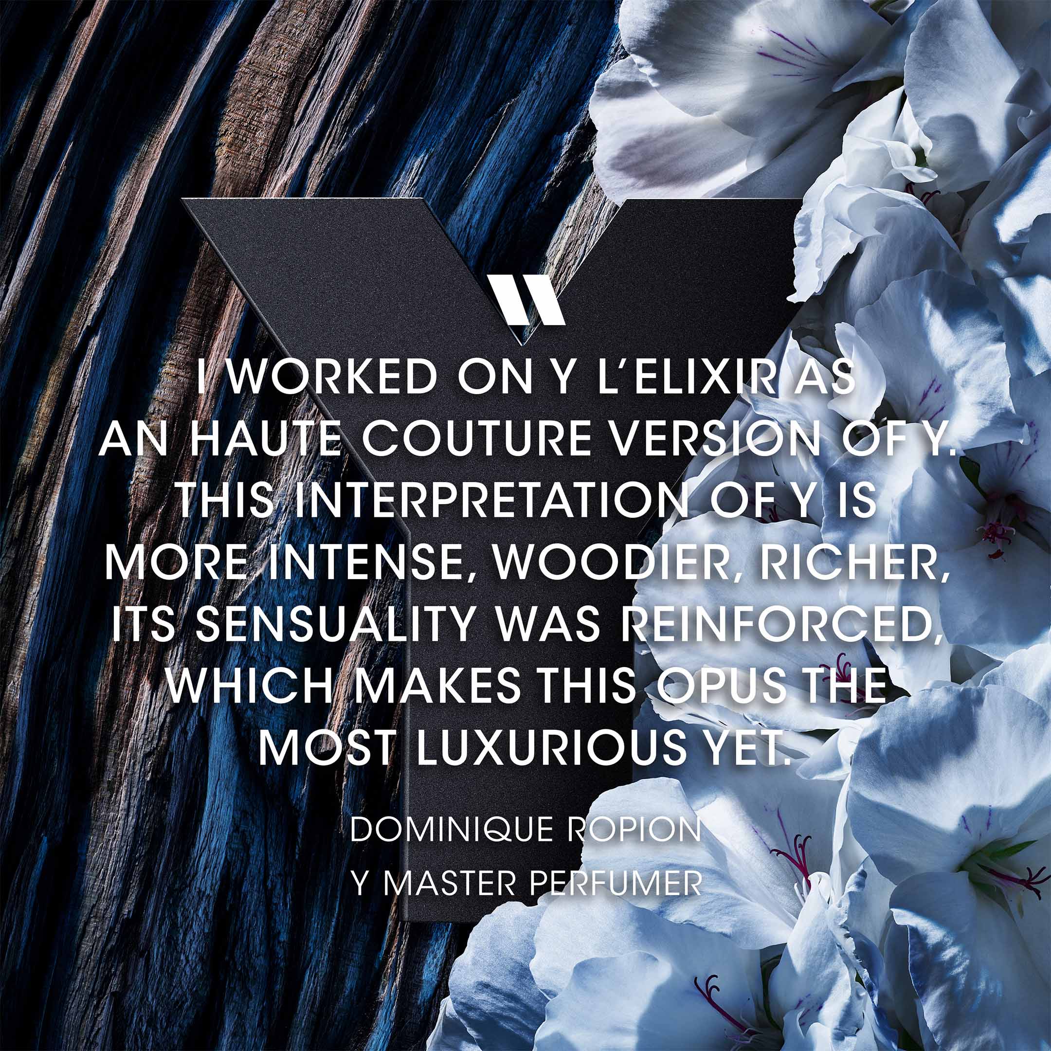 Y L'Elixir - Image 3