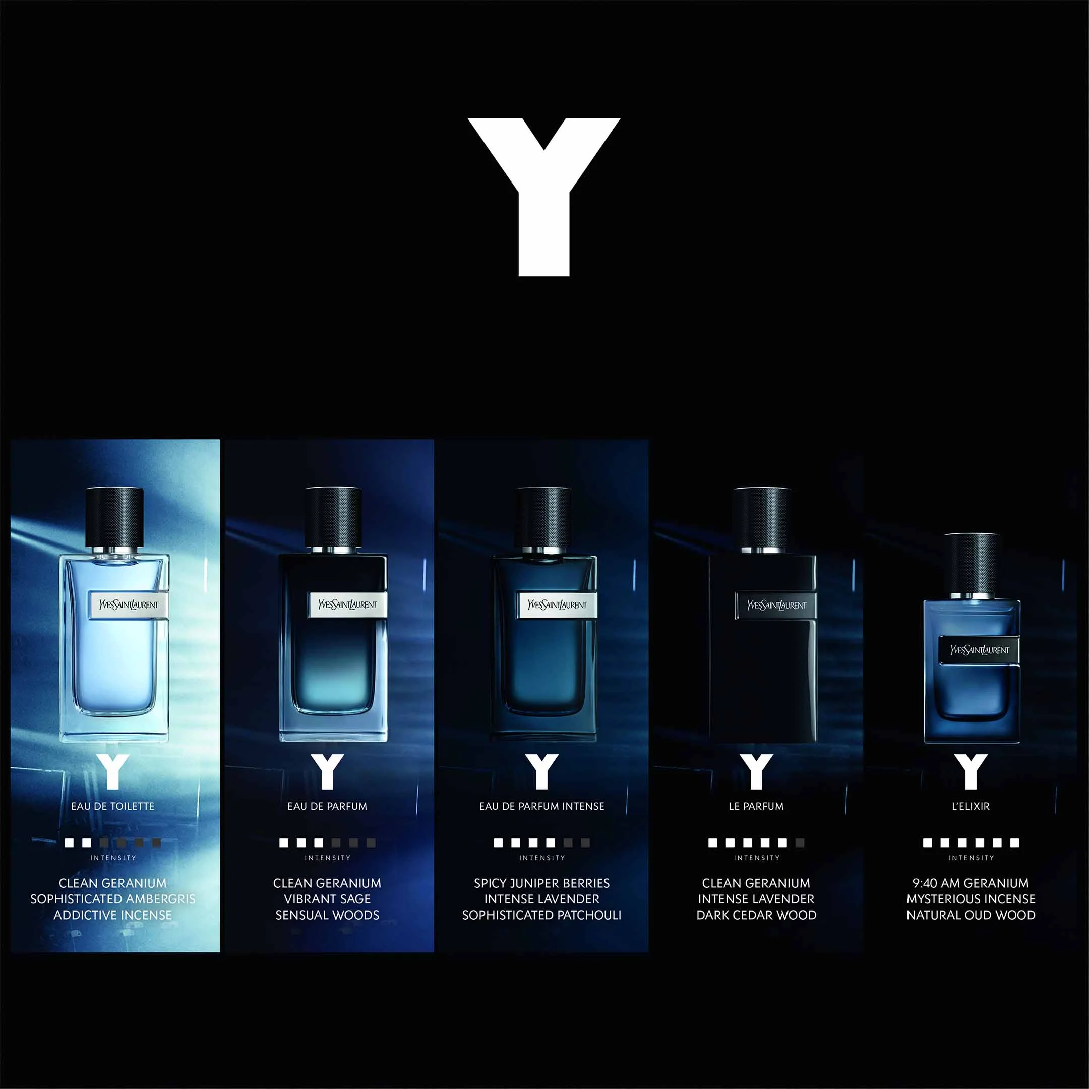 Y L'Elixir - Image 6